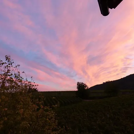 Homestay Gaestehaus Moni Jaeger Weyher