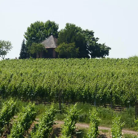 Gaestehaus Moni Jaeger