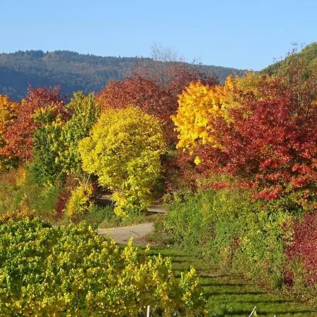 Gaestehaus Moni Jaeger *