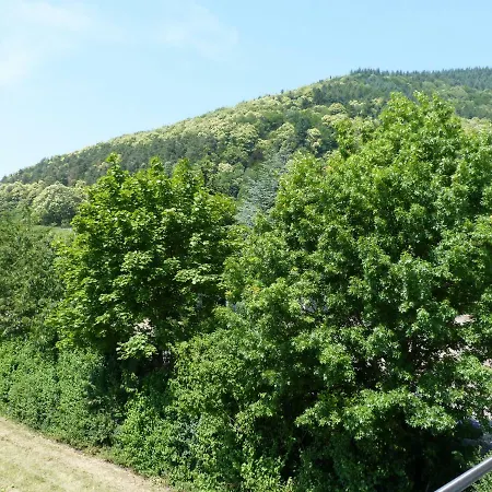 Gaestehaus Moni Jaeger