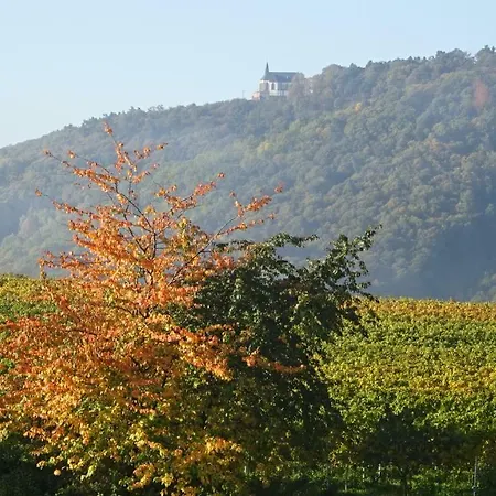 Gaestehaus Moni Jaeger * Weyher