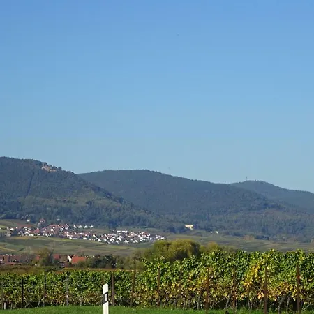 Gaestehaus Moni Jaeger *
