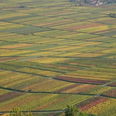 Gaestehaus Moni Jaeger