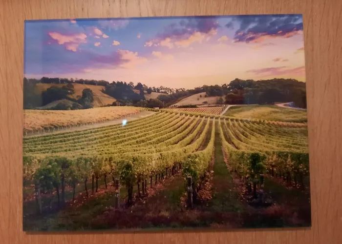 Gaestehaus Moni Jaeger ホームステイ