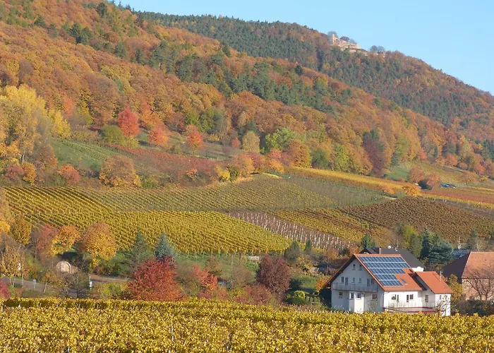 Gaestehaus Moni Jaeger *