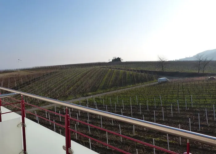 Gaestehaus Moni Jaeger * Weyher