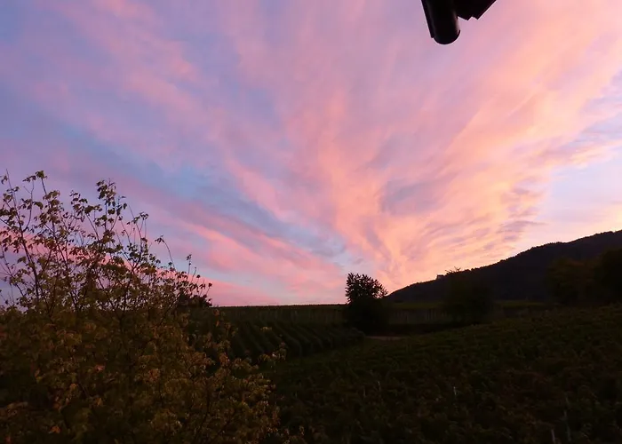 ホームステイ Gaestehaus Moni Jaeger Weyher