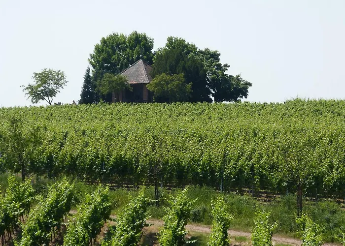 Gaestehaus Moni Jaeger