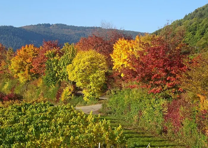 Gaestehaus Moni Jaeger *