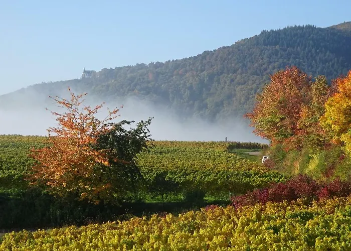 Gaestehaus Moni Jaeger *