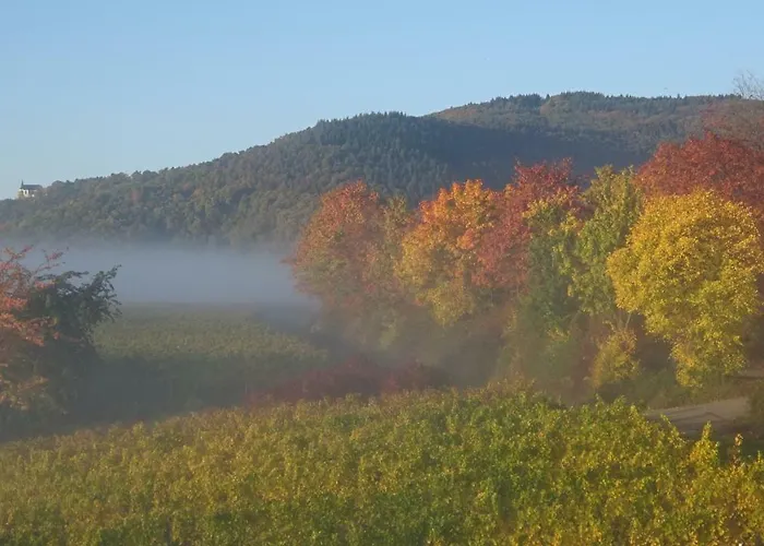 Gaestehaus Moni Jaeger Rum i privatbostad Weyher