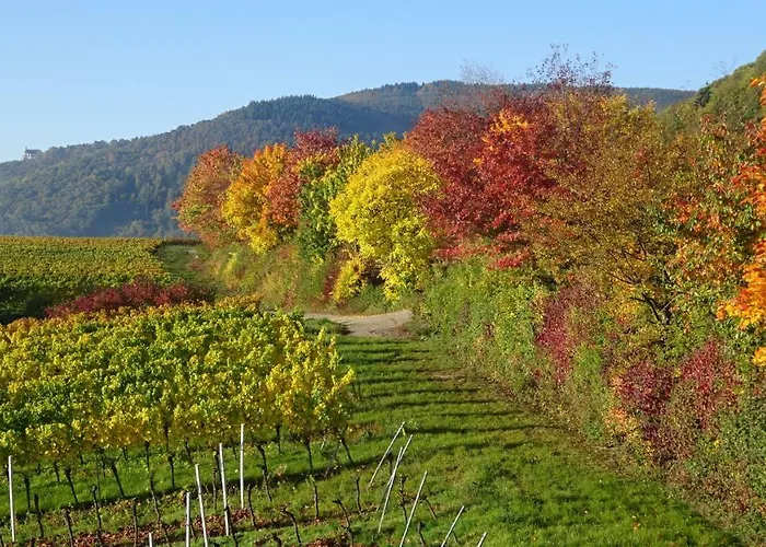 ホームステイ Gaestehaus Moni Jaeger