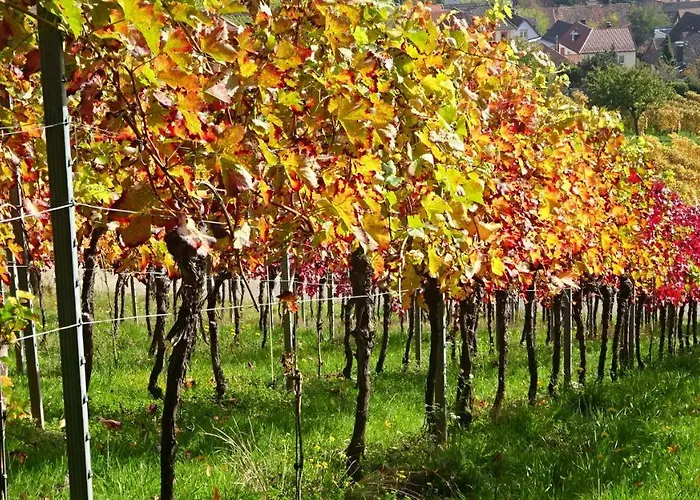 Gaestehaus Moni Jaeger Weyher