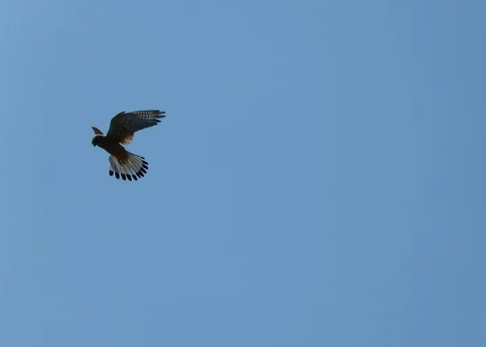 Gaestehaus Moni Jaeger Kwatera prywatna *