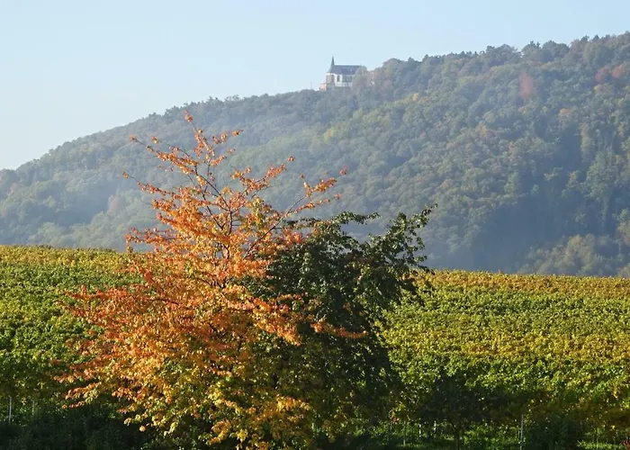 Gaestehaus Moni Jaeger * Weyher