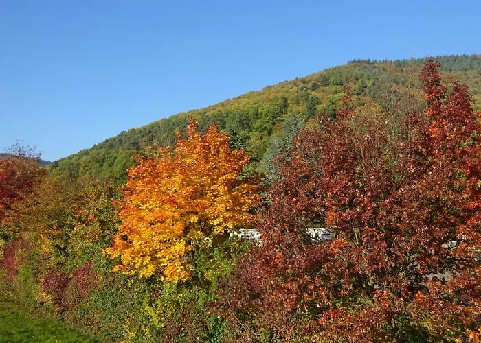 ホームステイ Gaestehaus Moni Jaeger