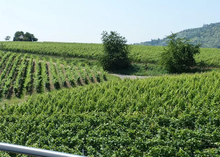 Rum i privatbostad Gaestehaus Moni Jaeger