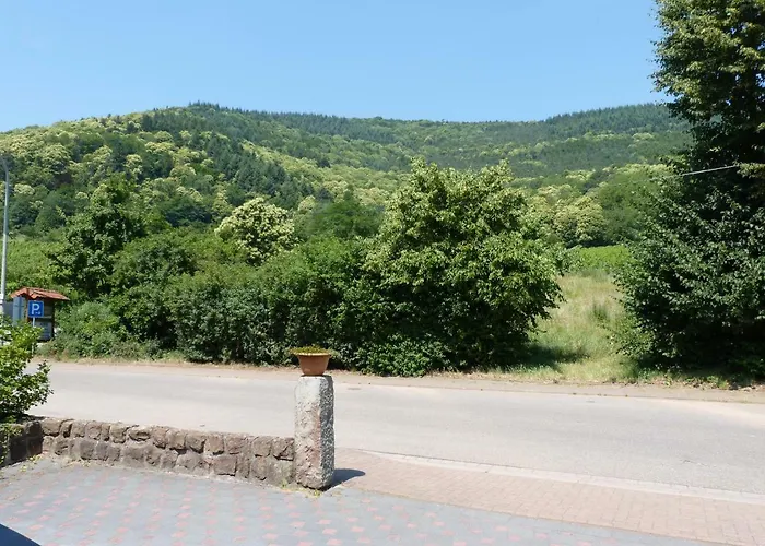 Rum i privatbostad Gaestehaus Moni Jaeger Weyher