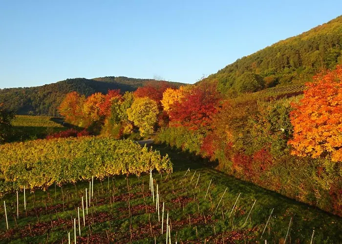 Gaestehaus Moni Jaeger ホームステイ Weyher