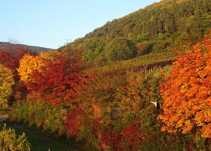 Gaestehaus Moni Jaeger *