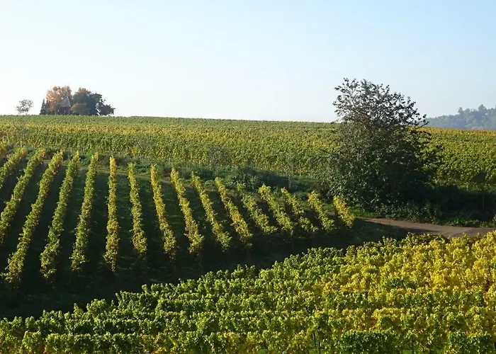 Gaestehaus Moni Jaeger * Weyher