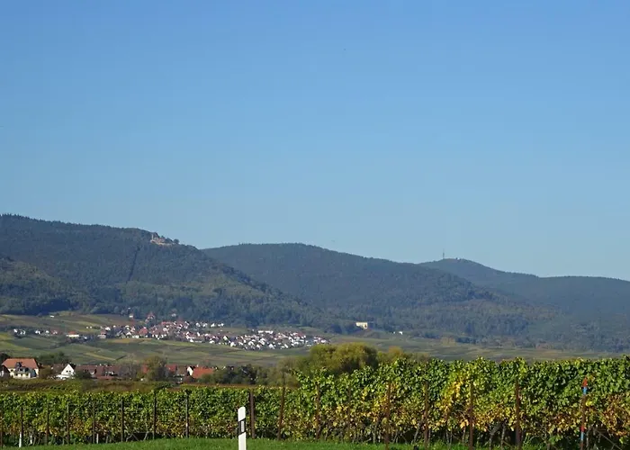 Gaestehaus Moni Jaeger *