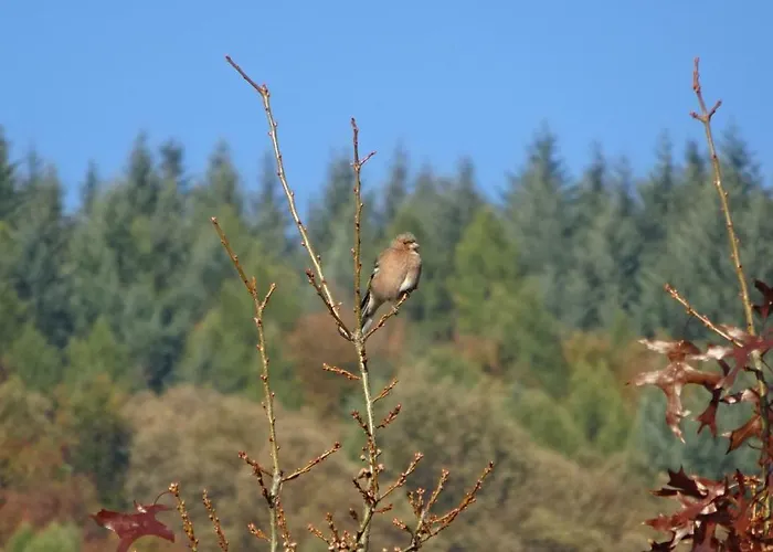 Gaestehaus Moni Jaeger ホームステイ *