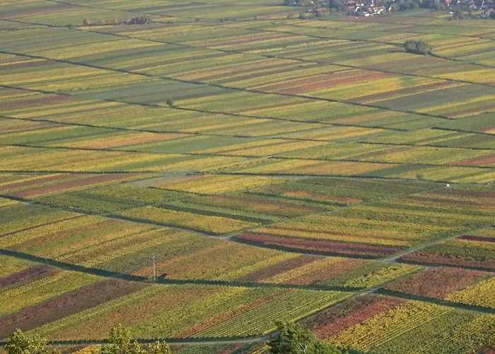 Gaestehaus Moni Jaeger