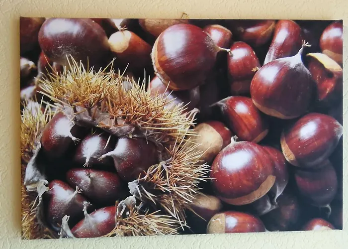 Rum i privatbostad Gaestehaus Moni Jaeger *